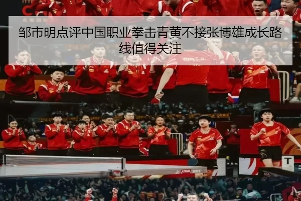 邹市明点评中国职业拳击青黄不接张博雄成长路线值得关注